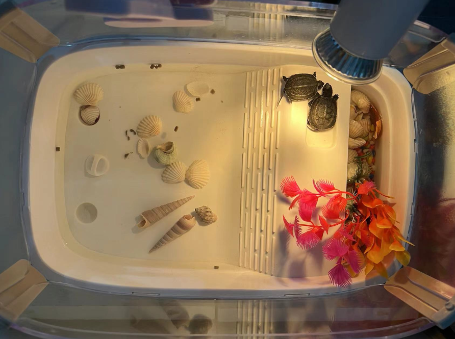 此图片的alt属性为空；文件名为image-409.png